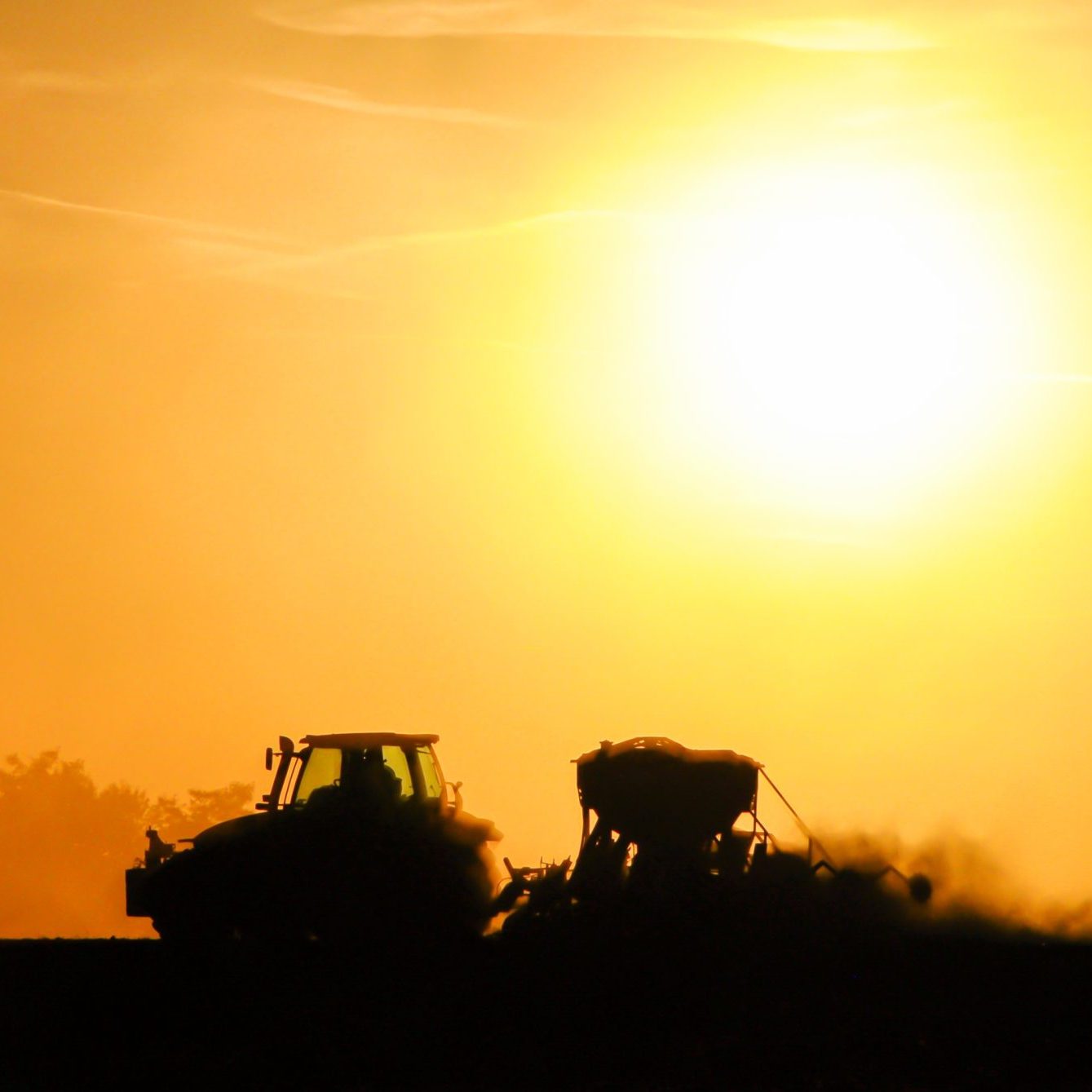 Como taco sin tortilla: el sector agrícola ante el cambio climático
