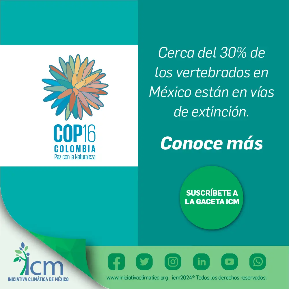 COP 16 sobre Diversidad Biológica: los pendientes impostergables del nuevo gobierno mexicano en atención al cambio climático y la pérdida de diversidad biológica.