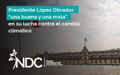 Presidente López Obrador: “una buena y una mala” en su lucha contra el cambio climático