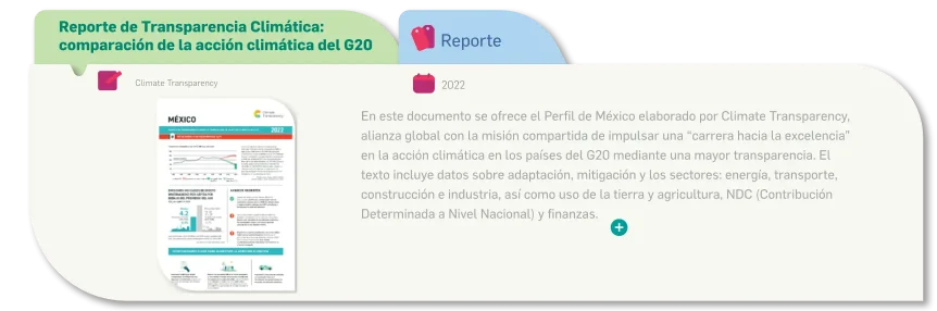 Reporte CT Ficha